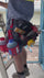 Constricta Quick pouch - Rebend industries tool pouch for trade pros
